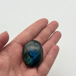 Labradorite Palm Crystal
