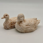 Mandarin Ducks - White