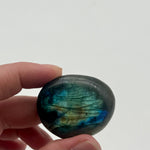 Labradorite Palm Crystal