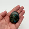 Labradorite Palm Crystal