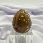 Ocean Jasper- Egg