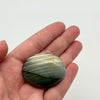 Labradorite Palm Crystal
