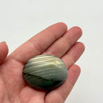 Labradorite Palm Crystal