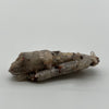 Witches Finger Crystal