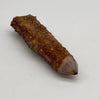 Citrine Cactus Quartz Crystal