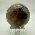 Petrified Wood Sphere