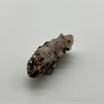Witches finger