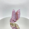 Cactus Quartz Crystal