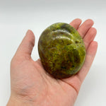 Green Opal Palm Stone From Madagascar