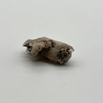 Witches finger