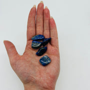 Lapis Lazuli Tumbled Small