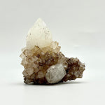 King White Cactus Quartz