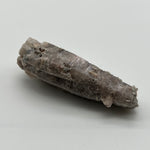 Witches finger