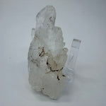 Fishtail Selenite Quartz Crystal - Africa