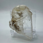 Fishtail Selenite Quartz Crystal - Africa