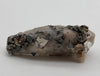 Witches finger