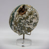Orbicular Jasper Crystal Crystal