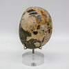 Orbicular Jasper Crystal Crystal