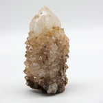 King White Cactus Quartz