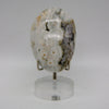 Orbicular Jasper Crystal Crystal