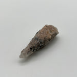 Witches finger wand