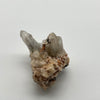 Witches finger cluster