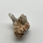 Witches finger cluster