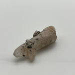 Witches finger