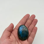 Labradorite Palm Crystal
