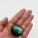 Labradorite Palm Crystal