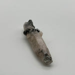 Witches finger