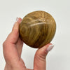 Chocolate Aragonite Crystal Galei Crystal