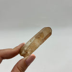 Congo Citrine Tabby Point