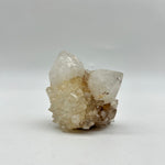 Cactus Quartz King White