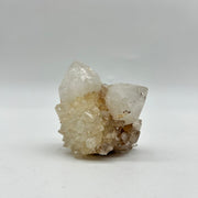 Cactus Quartz King White Crystals