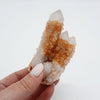 Cactus Quartz Crimson Queen Crystals
