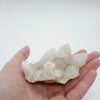 Cactus Quartz Crystal Crystals