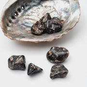 Tumbled Turritella Agate Crystals