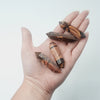 Double-Terminated Spiderweb Jasper