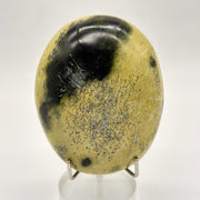 Tumbled Leopard Stone (Serpentine) Galei from Madagascar