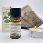 Cinnamon Leaf Essential Oil