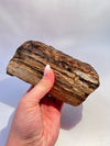 Petrified Wood - GOLDEN WEAVERS Crystal