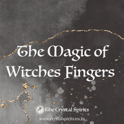 Witches Finger eBook