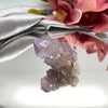 Cactus Quartz Crystal