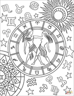 Gemini Adult Colour In
