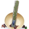 Harmony Smudge Wand