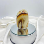 Freeform Polychrome (Desert) Jasper