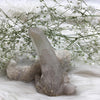Smoky Quartz Cluster Rocks & Fossils