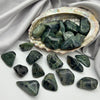 Medium Sized Tumbled Kambaba Jasper Crystals