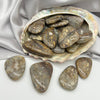 Large Bronzite Palm Pieces Crystal